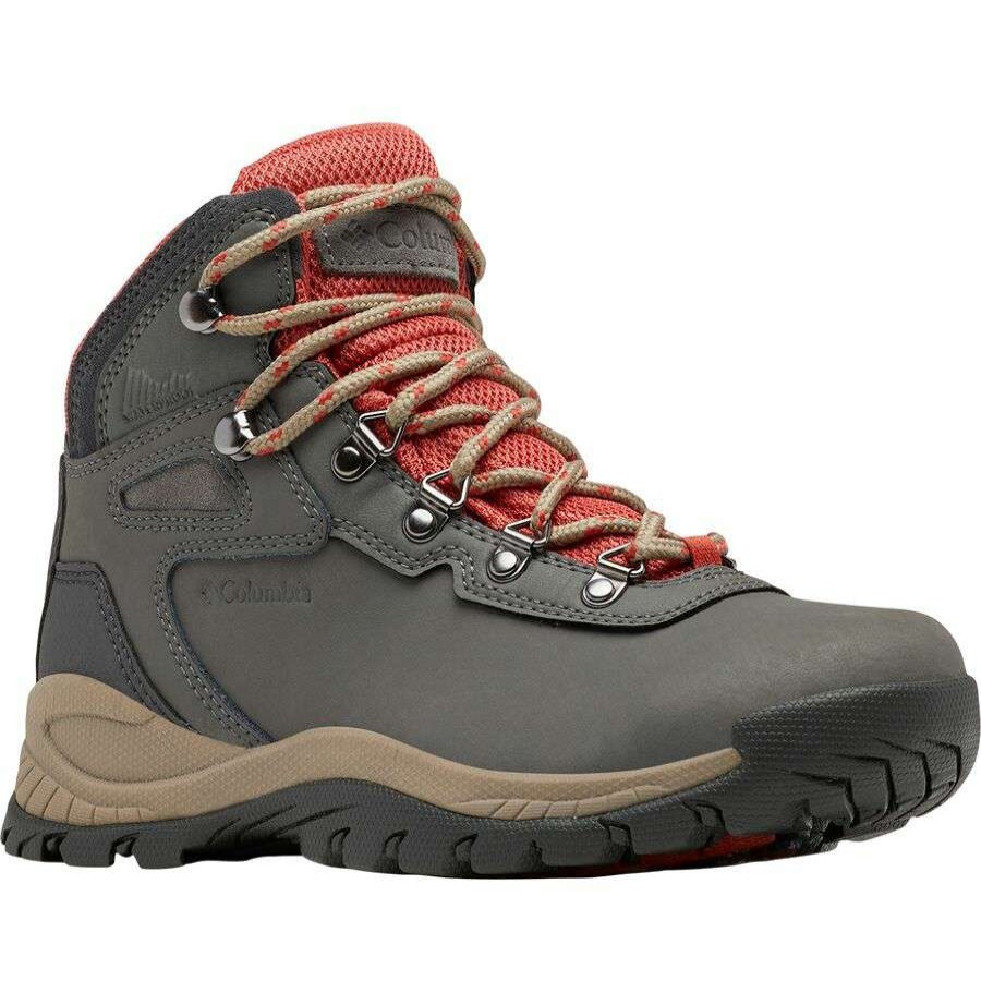 Outdoor Shoes * | Columbia Newton Ridge Plus Hiking Boot Women'S Discount