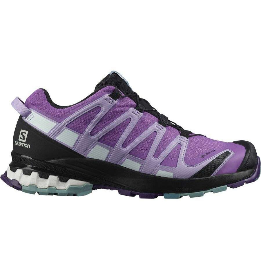 Running Shoes * | Salomon Xa Pro 3D V8 Gtx Shoe Women'S Sale