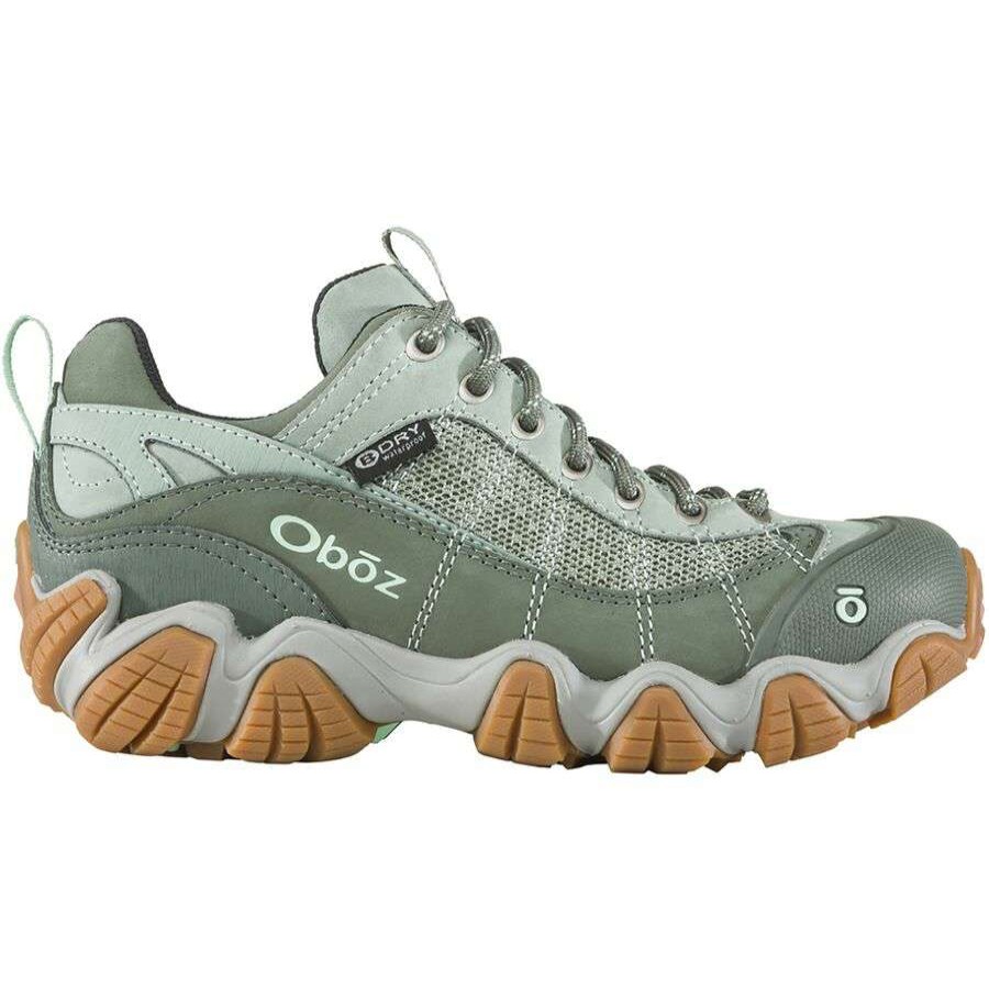 Outdoor Shoes * | Oboz Firebrand Ii Low B-Dry Hiking Shoe Women'S Discount Pale Moss