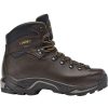 Outdoor Shoes * | Asolo Tps 520 Gv Evo Backpacking Boot Women'S Online Chestnut